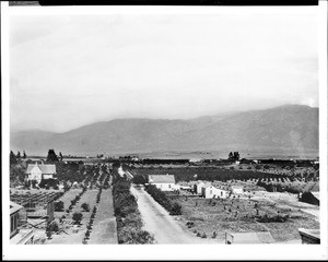 Panoramic view of Pasadena from Martin (Ward) Block, on Fair Oaks Avenue and Colorado Street, 1880