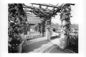 Garden from the west arbor at the San Fernando Mission, California, 1927