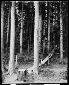 People in the woods, Oregon