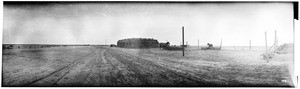 Panoramic view of horses near a large stack of alfalfa