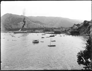 View of Avalon harbor, Santa Catalina Island, from Sugar Loaf, ca.1910