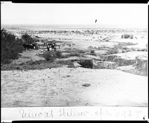 View of the ruins of the Willow Springs stage coach stop, showing a horse-drawn coach, ca.1886