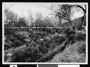 Unidentified stream bed in Los Angeles