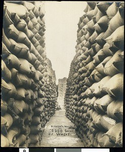 A view between the walls of 100,000 sacks of wheat, Oregon