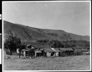 View of a dilapidated homestead and outbuildings near the ocean in Rancho Penasquitos, 1870-1880