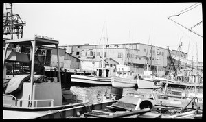 View of Fish Harbor, showing boats moored in the foreground, San Pedro, 1954