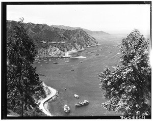 Panoramic view of the harbor, Santa Catalina Island