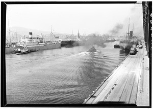 Cargo ships docked at San Pedro Harbor