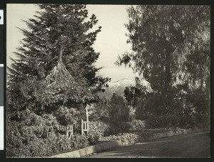 View of Smiley Heights in Redlands, ca.1900