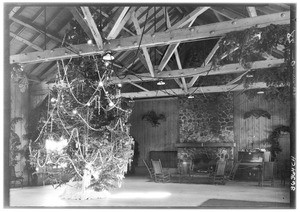 Large Christmas Tree in a lodge at Big Pines Recreational Camp, December 1927