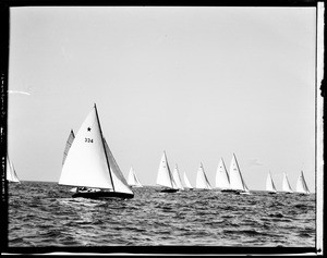 Several rows of numbered sailboats on the ocean