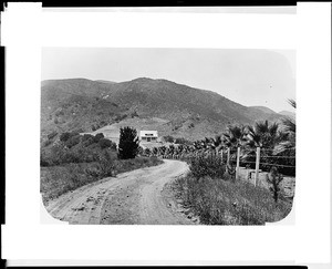 View of a dirt road winding its way to a house on Ben White's Foothill Ranch in Corona, ca.1900