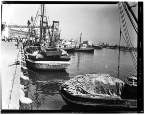 Fishing boats along the San Pedro dock, ca.1930-1939