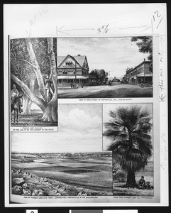Montage of four drawings depicting various scenes in Porterville, 1900-1940