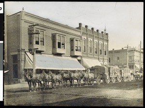 A wagon train freighting to the mines from Grant's Pass, Oregon