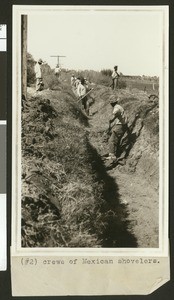 Crews of Mexican workers