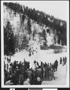 Large group of people assembled to toboggan at Big Pines mountain camp, ca.1930