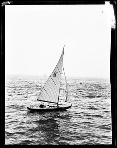 Sailboat on the ocean in Long Beach