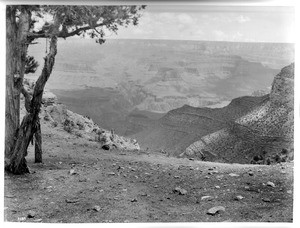 Looking at the Grand Canyon, Bright Angel Amphitheatre, on the Bright Angel Trail from the Bright Angel Hotel, ca.1900-1930