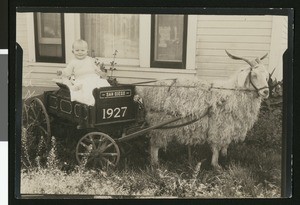 Child posing in goat cart, 1927