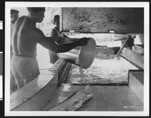 Workers pouring formic acid into tanks of latex to hasten the process of coagulation at the Goodyear Tire and Rubber Company, ca.1930