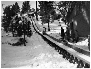 Several people watching others in a toboggan slide down a slope at Big Pines, ca.1928