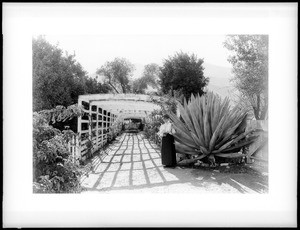 The grape arbor and Century plant at Camulos Ranch, California