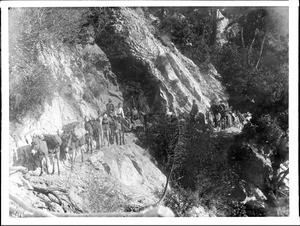 Pack train to Wilson Peak, Sierra Madre Trail, ca.1900