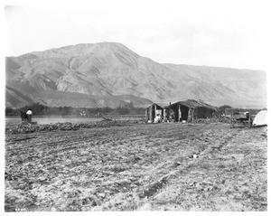 Coahuilla Indians cultivating their land at Torres, east of Palm Springs (or Martenus, near Indio), ca.1903-1904