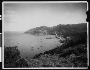 Birdseye view of Avalon Harbor showing a large steamship at the dock, ca.1910