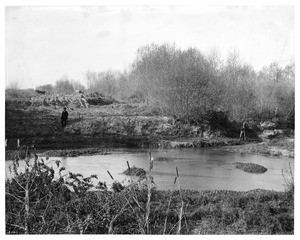 Los Angeles River in Griffith Park, ca. 1895-1898