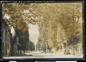 A street scene in Carson City, Nevada