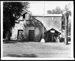 View of town buildings and a white oak tree in Volcano, as seen from the Plaza, ca.1930