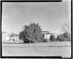 Bare trees in front of an unidentified building