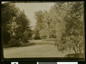 Dirt road at Chico Rancho, Chico, ca.1910