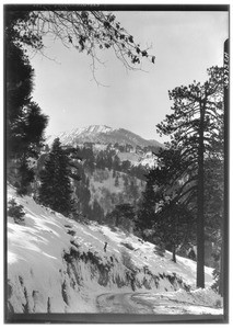 Winding mountain road at Big Pines Recreational Camp