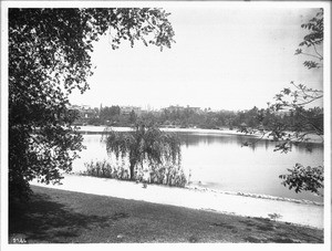 View of Westlake Park (later MacArthur Park), looking across the lake from a path