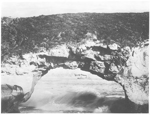 View of the Arch Rock at the Anacapa Island near Santa Cruz, California, ca.1900