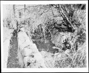 View of a zanja, a water ditch, at the San Bernardino Mission Assistencia, ca.1900