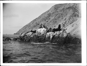 Seal Rocks, Catalina Island