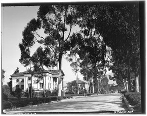 Unpaved residential road, showing large homes