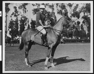 Portrait of polo player riding a horse, ca.1930