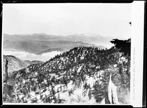 Tree-lined mountains and snow-capped mountains, Big Pines