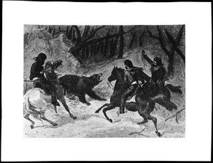 Drawing of three hunters lassoing a bear, ca.1900