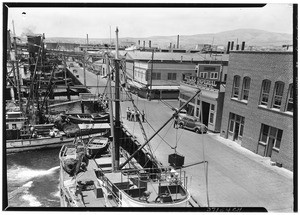 San Pedro Harbor with fishing boats, ca. 1930