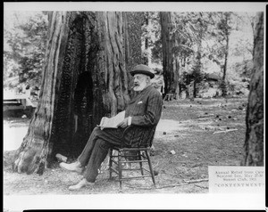 Portrait of Sunset Club member Henry T. Lee seated under the redwood trees, ca.1911