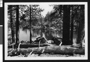 Fallen tree trunk in front of Bartlett's Cedar Lake, ca.1950