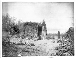 Apache Indian stands near a "Kan" or brush house, Palomas Indian Reservation, ca.1900