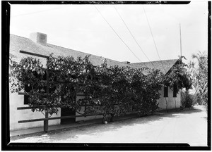 Exterior of ranch, house at H.W. Mennig's pear ranch, a half mile northeast of Palmdale, August 1929