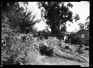 Landscaped hill at the Huntington Hotel in Pasadena